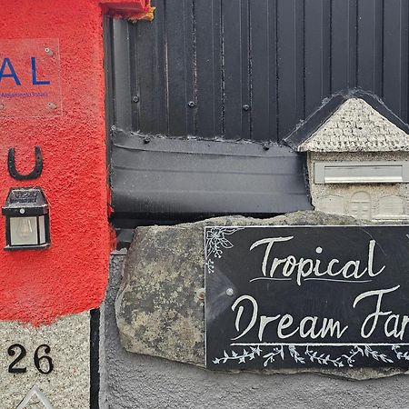 Tropical Dream Farm Hotel Vouzela Kültér fotó