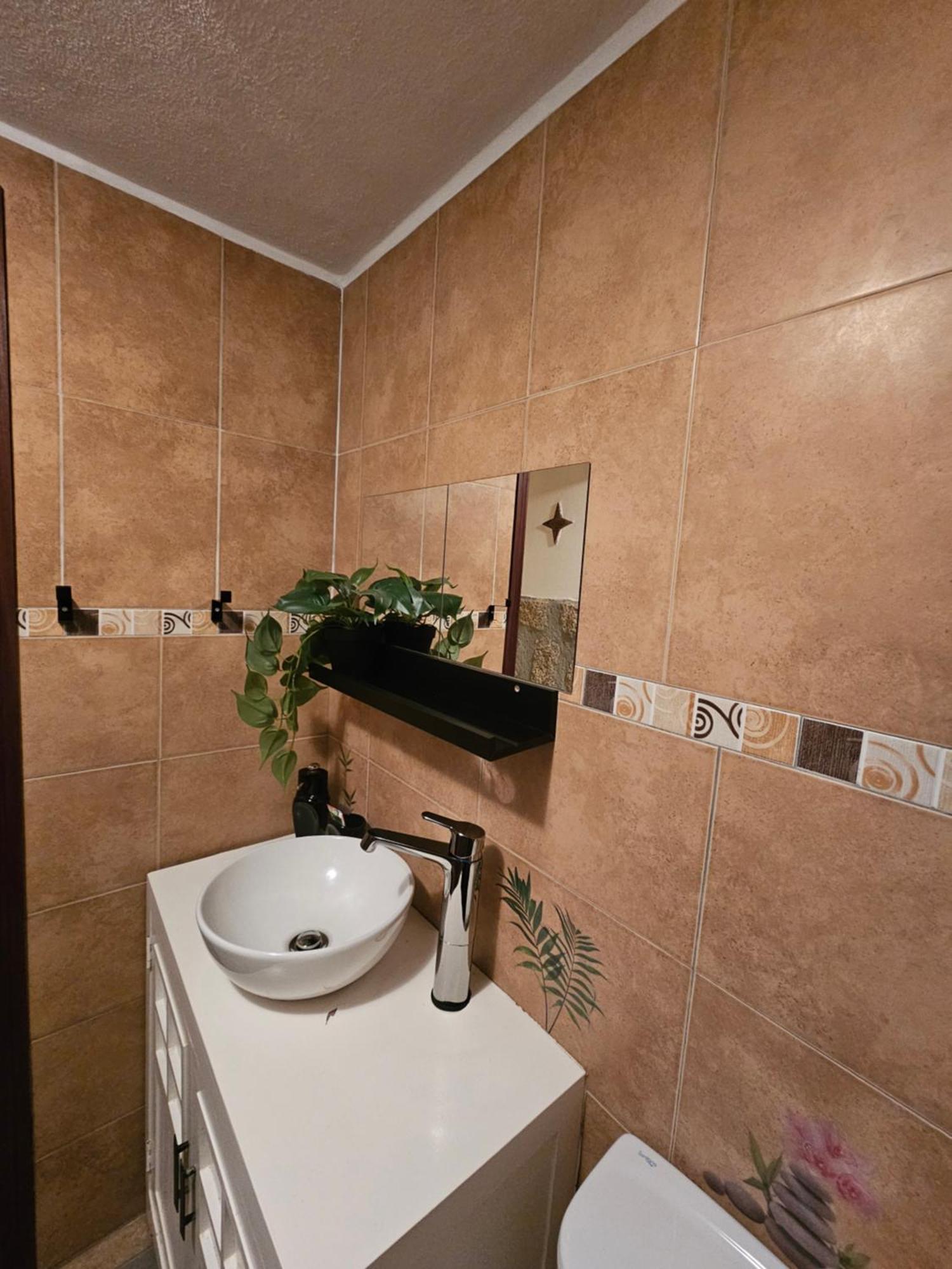 Tropical Dream Farm Hotel Vouzela Kültér fotó