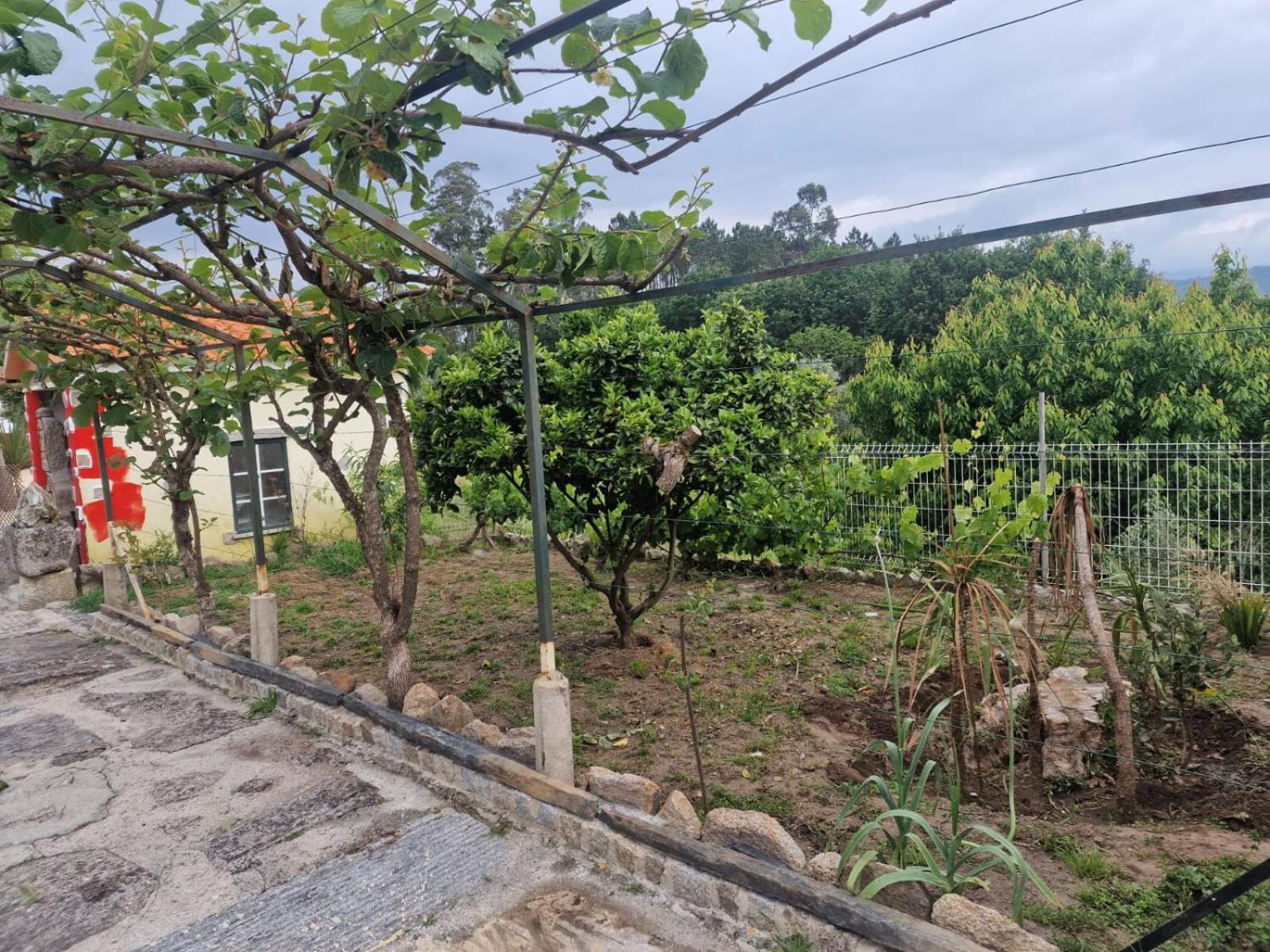 Tropical Dream Farm Hotel Vouzela Kültér fotó