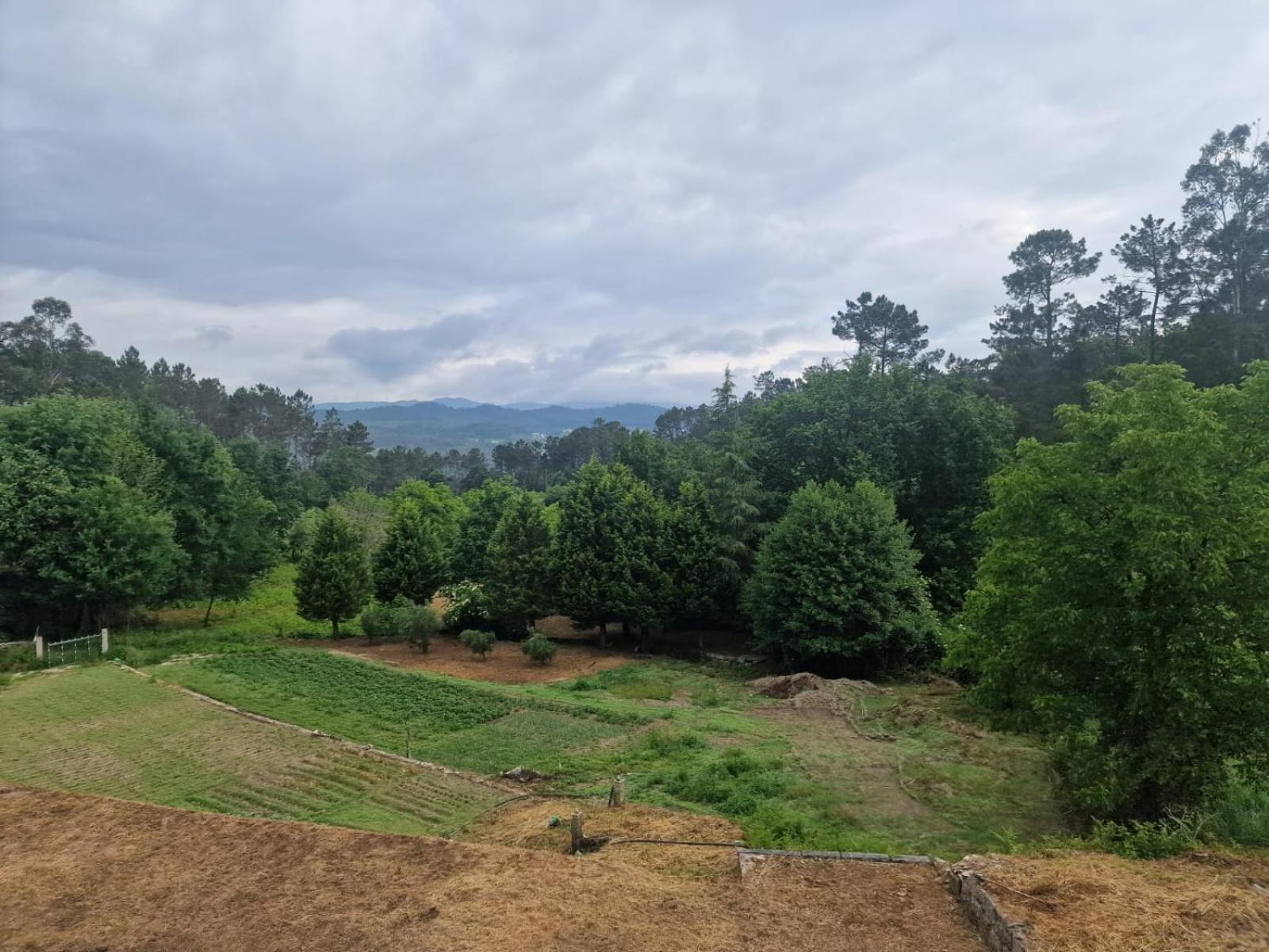 Tropical Dream Farm Hotel Vouzela Kültér fotó